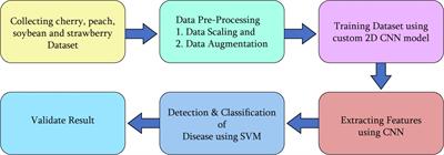 CSXAI: a lightweight 2D CNN-SVM model for detection and classification of various crop diseases with explainable AI visualization